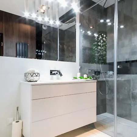 Luxury With Private Terrace 公寓 华沙