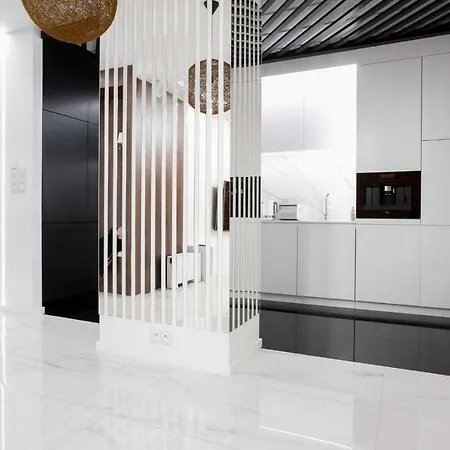 公寓 Luxury With Private Terrace 华沙